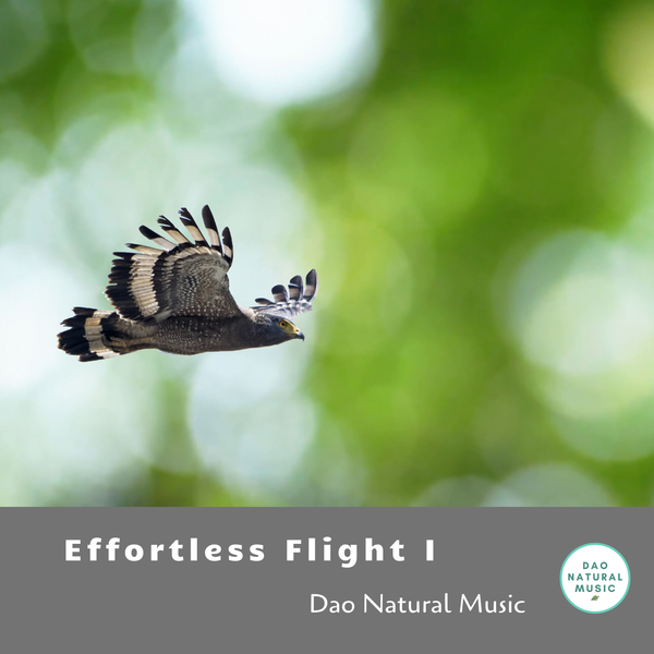 "Effortless Flight I" mp3 