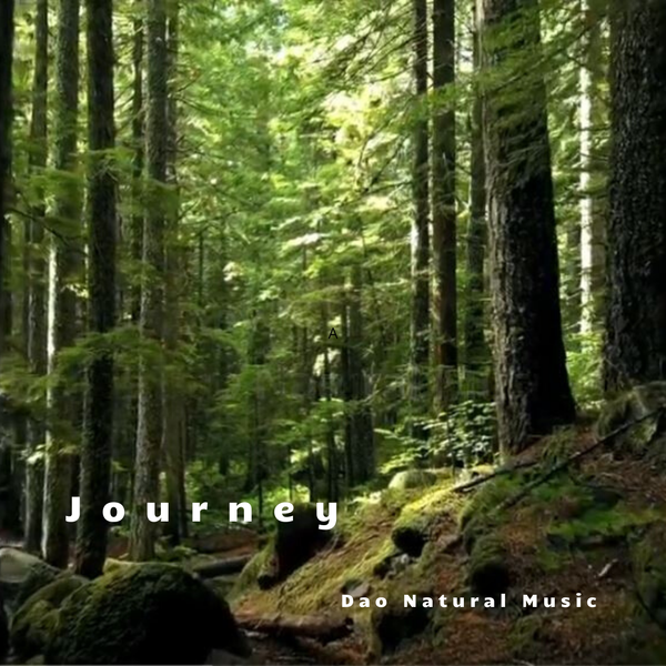 "Journey" mp3